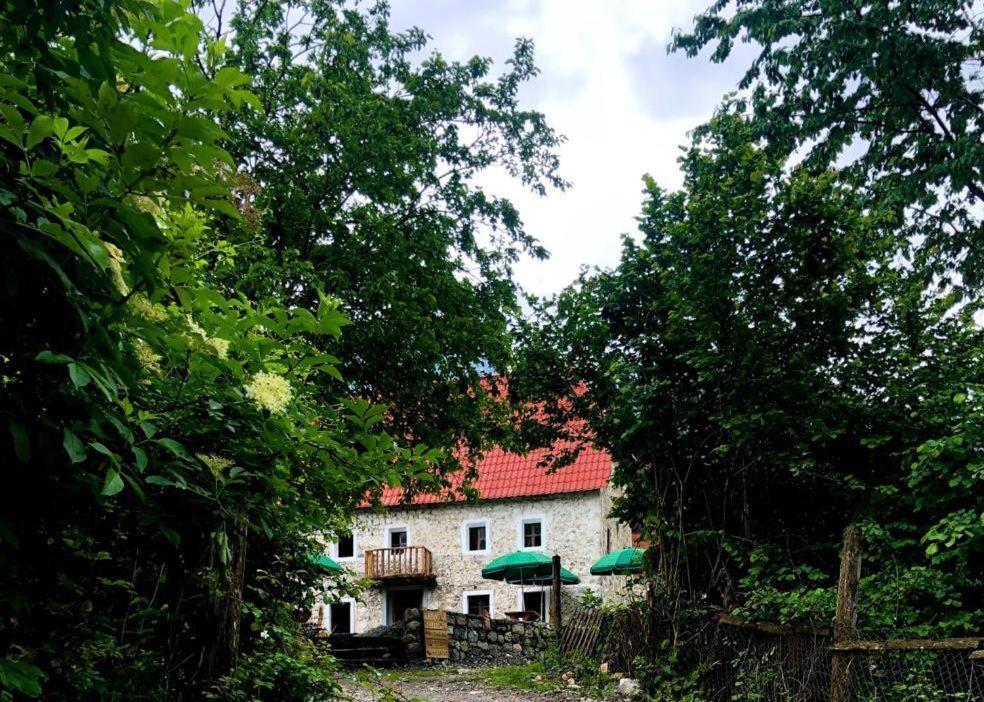Guesthouse Kujtimi Theth Dış mekan fotoğraf