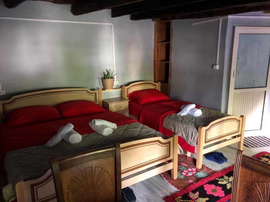 Guesthouse Kujtimi Theth Dış mekan fotoğraf